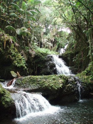 Stunning Scenery, Beautiful Waterfalls, Tropical Botanical, Hawaii ...