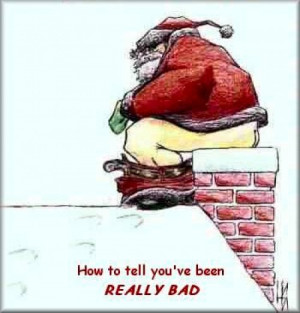 ... christmas pictures and funny christmas quotes to make your holidays a