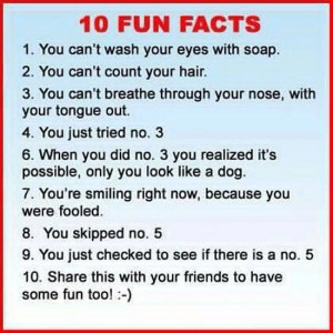 10 Fun Facts