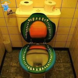 there might be some toilets that even our most seasoned plumbers would ...