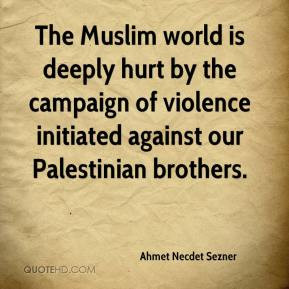 Ahmet Necdet Sezner - The Muslim world is deeply hurt by the campaign ...