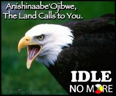 ... Ojibwe, the Land Calls to You. - Newsfeed sponsored by: JenniferKruse