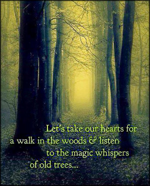 let s take our hearts for a walk in the woods and listen to the magic ...