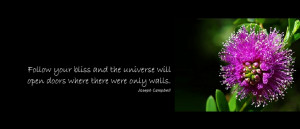 Joseph Campbell Quotes