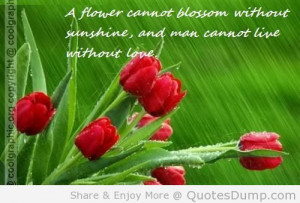 Flower Cannot Blossom Without Sunshine And Man Cannot Live Without ...