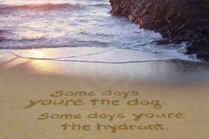 Some days you're the dog. Some days you're the hydrant.