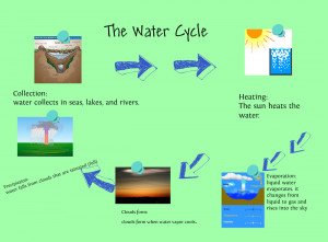 the-water-cycle-source.jpg