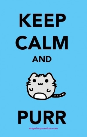 Keep Calm #Kitty