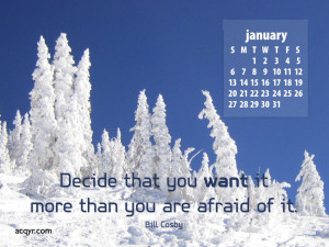 January 2008 Desktop Wallpaper Calendar - 1