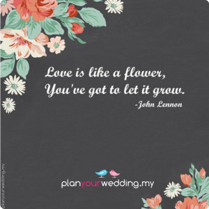 Love is like a flower, you've got to let it grow. - Johnh Lennon