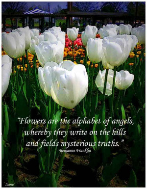 Flowers are the alphabet of angels, whereby they write on the hills ...