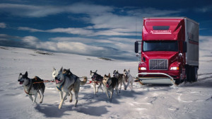 Funny Snow Dogs Trucks Fantasy Wallpaper 1920×1080