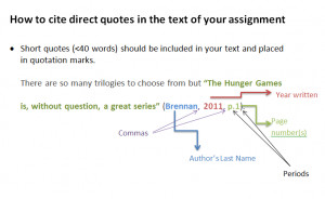 citing a website in an essay apa