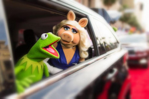 20 Signs That Kermit and Miss Piggy Are Consciously Uncoupled - The ...