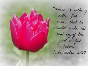 Displaying 18> Images For - Bible And Flowers...