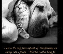 ... only force Capable of Transforming an Enemy into Friend - Animal Quote