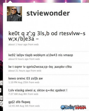 ... gotsmile.net/images/2011/07/29/stevie-wonders-twitter_13119283054.jpg