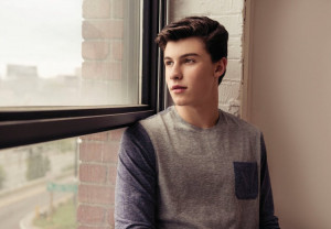 Track-By-Track Review: Handwritten by Shawn Mendes