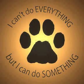 Animal Rescue, Gift, Dogs, Quotes, Shelters, Volunteers, Pets, Make A ...