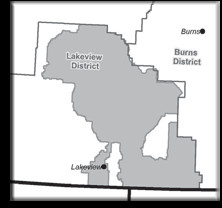 Loading Site... ...Please Wait!