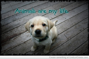 love-animals-love-quotes-quote-Favim.com-555008.jpg