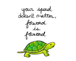 Quote Pictures The Lion King Hakuna Matata Picture