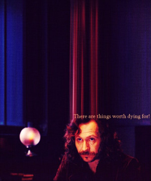 sblack-:Top 5 Sirius Black Quotes | #2“This is how it is — this is ...
