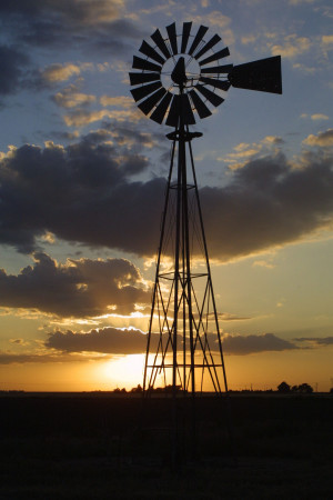 Figure 1 Windmill pumps water on an Oklahoma farm