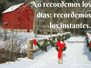 Email This BlogThis! Share to Twitter Share to Facebook Share to ...