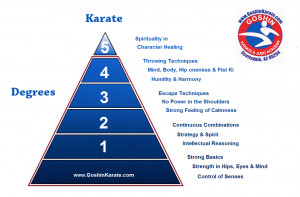 Goshin Karate and Judo Academy - Scottsdale Arizona