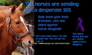 All Graphics » stop horse slaughtering