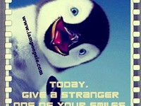 penguin quotes adorbs 3 penguin quotes and funny pictures penguin ...