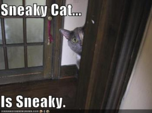 Are you sneaky?
