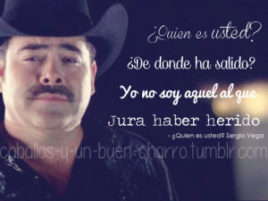 caballos-y-un-buen-charro