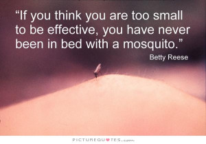 ... you are too small to be effective, you have never been in bed with