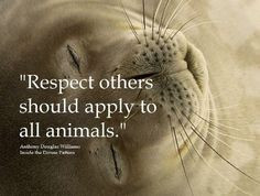 General quotes and pictures about animal suffering and human stupidity ...