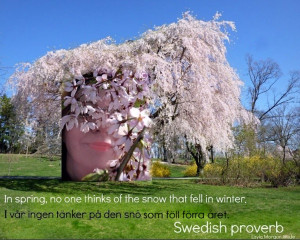 Swedish Thoughts on Spring and Snow Gorgeous photo.