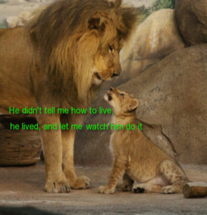 My Lion King Dad Free From Father S Son Ecards Greeting Cards 123 ...