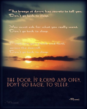 Don't go back to sleep... —Rumi
