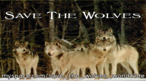 save wolves