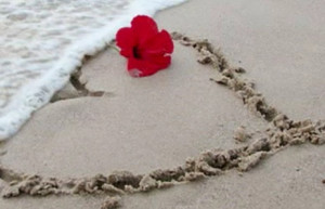 Sea Love Heart Image