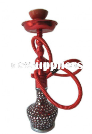 Hookah Smoking Caterpillar Quotes