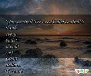Gun Control Need Bullet