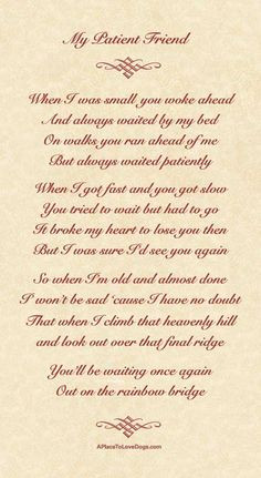My Patient Friend – A Poem About My Doggy #Poem #dog #rainbowbridge ...