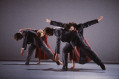 The Archive of Siobhan Davies Dance