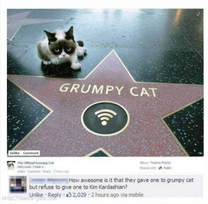 Grumpy Cat vs. Kim Kardashian