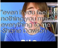 Tagged with shane dawson quote