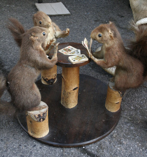 Funny Squirrel Casino