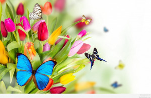 sunny spring day quotes quote quot science has never