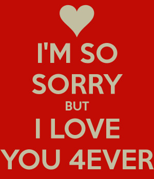 im sorry i love you